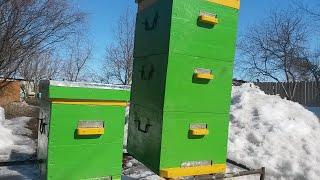 Улья своими руками на любительской пасеке.
