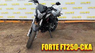 Детальний огляд на FORTE FT250-CKA