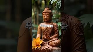 짝사랑에 괴로운 당신에게 부처님의 한마디 | 자면서 듣는 부처님 말씀 #부처님말씀 #부처님의가르침 #석가모니인생조언 #불교가르침