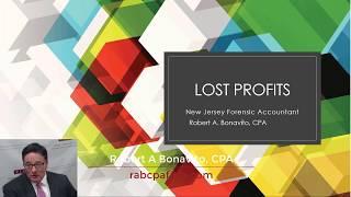 Understanding Lost Profits