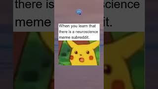 When you learn that there is a neuroscience meme subred - Neurosciences Memes #shorts!