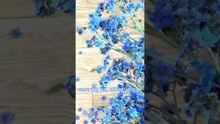 더위를 날려주는 시원한 꽃 | 이렇게 시원할 수가 | 김유하 바람의 노래
