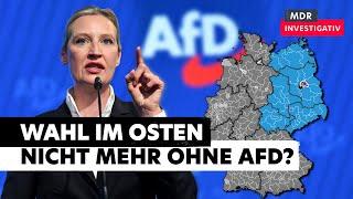 AfD-Welle und Linke-Wunder: Ost-Deutschland nach der Wahl | Doku