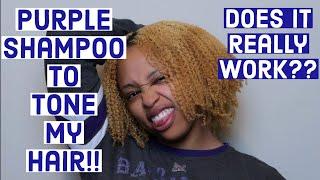 Toning My Splotchy Blonde Hair | Purple Shampoo & Conditioner | Ayana Mertina