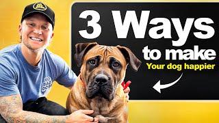 3 Ways To Make Your Dog Happier!