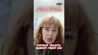 Правда о русской армии РФ Волонтеры Курск #армиярф #армияроссии #приколы #историявойны #историярф