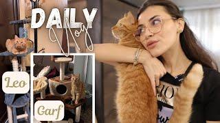 Daily Vlog // O intamplare CIUDATA!! Cateva produse dm si ansamblul nou al lui Garfy 