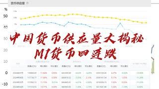 【中国经济】一口气了解中国货币供应量的“神操作”：M2上涨、M1四连跌，背后到底隐藏了什么？#中国经济 #房地產#中国新闻