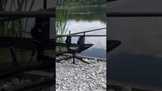 CARP RUN #carpfishing