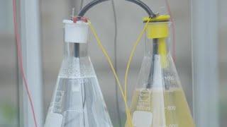 Your waste, reimagined | DISPOSABLE at Science Gallery Melbourne