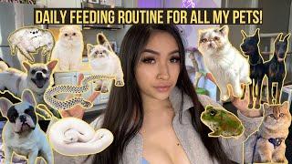 FEEDING ALL MY 14 PETS l DAILY FEEDING ROUTINE