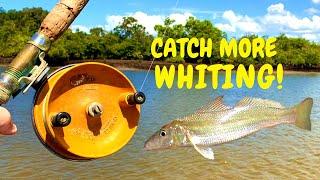 CATCH MORE WHITING with these tips and tricks!