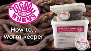 How Too ... willy worm keeper !! carp fishing.Catch loads of BIG carp and save money.