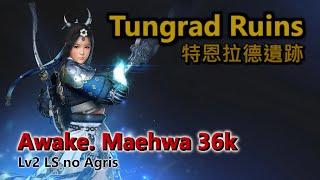 BDO | Tungrad Ruins | Awakening Maehwa | 36k trash/h | Lv2 LS no Agris