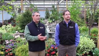 The Making of an Adams Garden Show