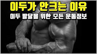 이두 운동의 모든 운동 정보[영상 한편으로 이두 기능 마스터 가능]