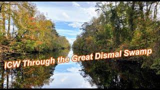 Dismal Swamp to Albemarle Sound