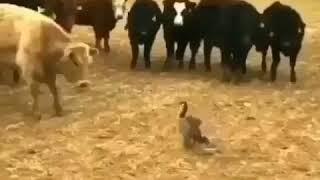 Для вас(44)