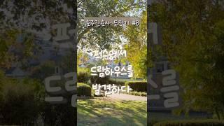 [호주간호사 도전기 #8]퍼스에서 드림하우스를 발견하다 #퍼스 #호주간호사 #브이로그 #서호주 #호주라이프 #호주브이로그