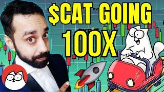 Simon's CAT Coin is the next PNUT coin. Here's Why?