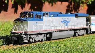 Model Trains On The Lawn For One Day Only