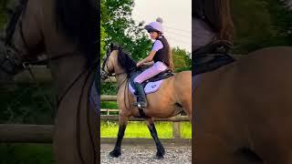 Jumping High on my Pony Louis #horseriding #natalia #equestrian #pony #horse #louis