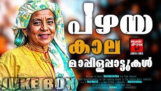 കിടിലൻ പഴയ മാപ്പിളപ്പാട്ടുകൾ | Mappila Songs | Old Mappilappattukal | Mappilappattukal | Mappila