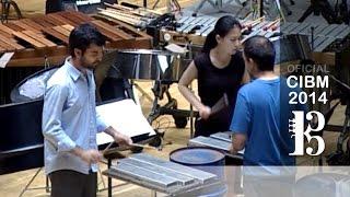 CIBM 2014 - Drumming - Joe Zapp