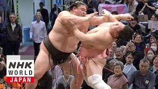 GRAND SUMO: Day 10 of the November 2024 Tournament - GRAND SUMO Highlights