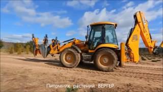 Питомник декоративных растений "ВЕРГЕР"