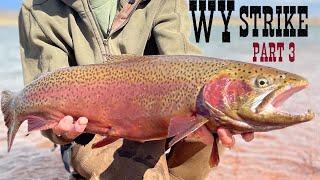 Best Day Of My Life Fly Fishing Wyoming - LARGE TROUT in Albany County