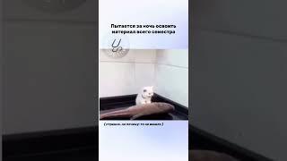 Вот в следующем семестре это точно не повторится