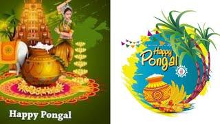 Happy Pongal wishes | Happy pongal wishes 2022 |Happy Pongal whatsapp status| Pongal Greeting |