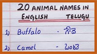 Animal Names in English and Telugu | 20 Animal Names in English and Telugu | List of Animals