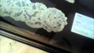 Venice Burano Lace