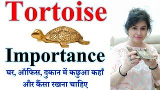 Importance of tortoise in vastu 