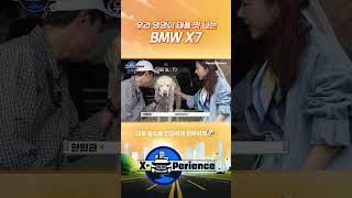 대형견도 대만족! BMW X7 타고 같이 놀러가자 [BMW 한독 모터스- 한독 숏터스 Ep.38]