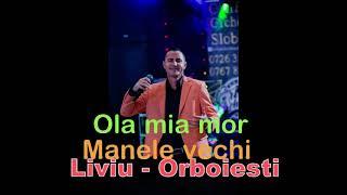 Manele vechi de dragoste 2012 Liviu de la Orboiesti live