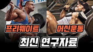 웨이트 트레이닝을 프리웨이트로 운동하면 얼마나 더 효과적일까? 최신 연구로 알아보는 프리웨이트 vs 머신운동