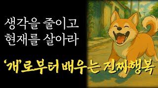 네 발의 철학자 | 진짜 행복한 사람들은 단순하게 생각합니다 | 아등바등 살지마세요 | 깨달음을 얻는 가장 쉬운 방법 | 명언 I 노후지혜 I 오디오북 I 삶의 조언 | ASMR