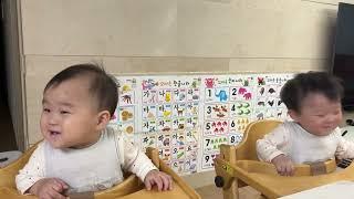 도리도리 쭈니후니