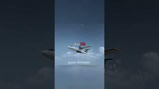 elegant airlines collision incident #airplane #plane #aviation #crash #planecrash #tfs #edit #flight