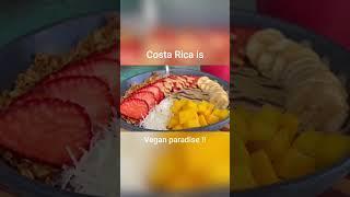 The BEST vegan food in Costa Rica #veganvlog #shorts  #veganincostarica