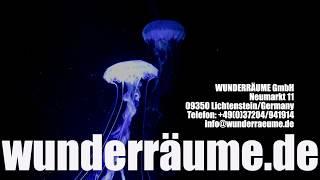 UNTERWASSERWELT - Themenwelt & Eventdekoration von Wunderräume GmbH