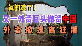 背叛！外资彻底抛弃中国！经济冷战！数万就业机会消失，税收大幅减少！政策大礼包无法挽回民营经济的颓势！中国企业家失望和逃离潮，年轻人的公务员热，国企和公务员的降薪潮！