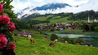 Switzerland  A Heavenly Rain Walk Through Stunning Landscapes