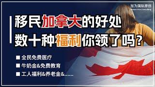 移民加拿大有哪些好处？数十种社会福利你领了吗？
