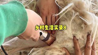 五一假期，乡村生活实录