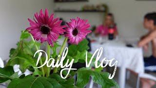 Daily Vlog - Sunday