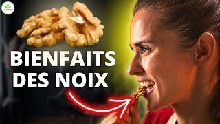 Pourquoi vous devriez manger des noix TOUS les jours (Bienfaits santé)